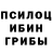 Галлюциногенные грибы Cubensis ilyos Tuxsanaliev