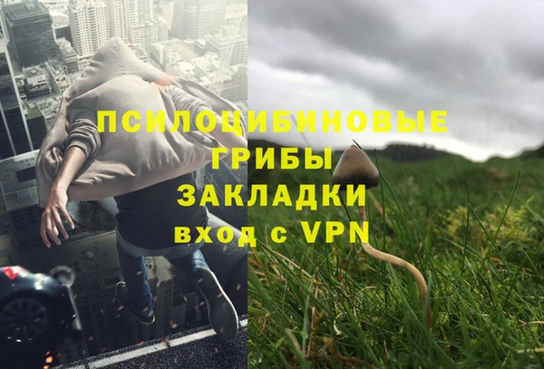 соль ск Горно-Алтайск
