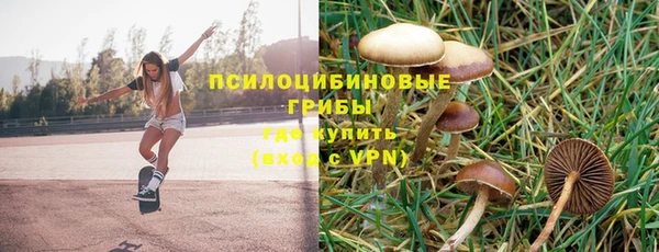гашик Горнозаводск