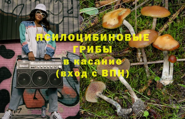 соль ск Горно-Алтайск