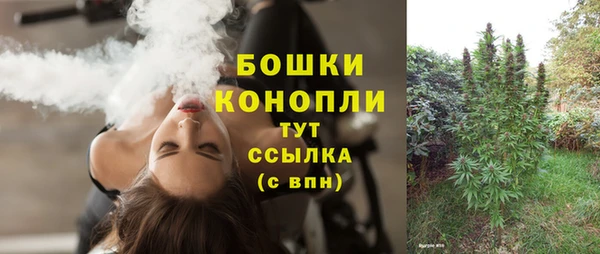 соль ск Горно-Алтайск